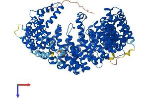 AlphaFold protein structure predicition of Mouse Recombinant Ipo13 Protein, UniprotID Q8K0C1