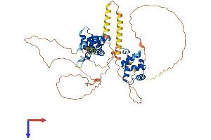 AlphaFold protein structure predicition of Mouse Recombinant Nab1 Protein, UniprotID Q61122