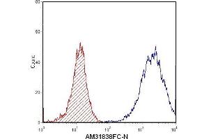 Flow Cytometry (FACS) image for anti-S100 Calcium Binding Protein A8 (S100A8) antibody (FITC) (ABIN954653) (S100A8 anticorps  (FITC))
