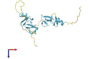 AlphaFold protein structure predicition of Mouse Recombinant Csrp2 Protein, UniprotID P97314