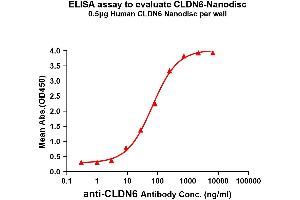Elisa plates were added with Flag Tag C-Nanodisc (0.