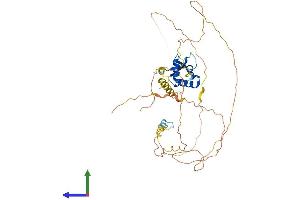 AlphaFold protein structure predicition of Human Recombinant FOXA2 Protein, UniprotID Q9Y261