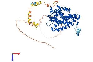 AlphaFold protein structure predicition of Human Recombinant ELMOD3 Protein, UniprotID Q96FG2