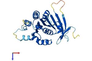 AlphaFold protein structure predicition of Mouse Recombinant Elp6 Protein, UniprotID Q8BK75