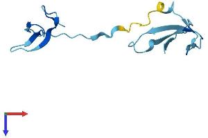 AlphaFold protein structure predicition of Human Recombinant POLR3K Protein, UniprotID Q9Y2Y1