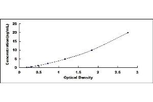 Typical standard curve (MYH2 Kit ELISA)