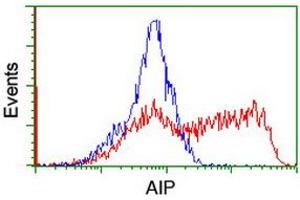 Image no. 2 for anti-Aryl Hydrocarbon Receptor Interacting Protein (AIP) antibody (ABIN1496677) (AIP anticorps)