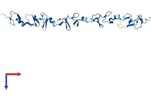 AlphaFold protein structure predicition of Human Recombinant FHL2 Protein, UniprotID Q14192