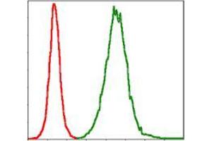 Flow cytometric analysis of NIH/3T3 cells using TNNI2 mouse mAb (green) and negative control (red). (TNNI2 anticorps)