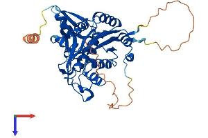 AlphaFold protein structure predicition of Human Recombinant ATG4A Protein, UniprotID Q8WYN0