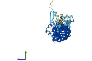 AlphaFold protein structure predicition of Human Recombinant ATXN10 Protein, UniprotID Q9UBB4