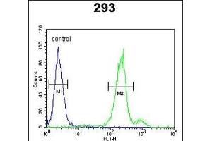 CLRN3 Antibody (C-term) (ABIN653073 and ABIN2842673) flow cytometric analysis of 293 cells (right histogram) compared to a negative control cell (left histogram). (Clarin 3 anticorps  (C-Term))