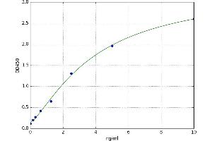 A typical standard curve (Prostaglandin E Synthase Kit ELISA)