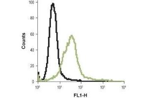 Cell surface detection of Histamine H2 receptor in live intact rat basophilic leukemia cell lines: (black line) Unstained cells + goat-anti-rabbit-FITC. (HRH2 anticorps  (Extracellular))