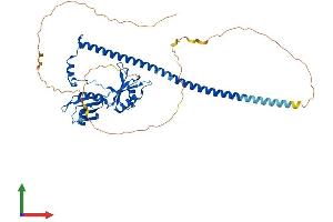 AlphaFold protein structure predicition of Mouse Recombinant Nono Protein, UniprotID Q99K48