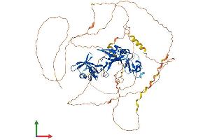 AlphaFold protein structure predicition of Human Recombinant CPEB3 Protein, UniprotID Q8NE35