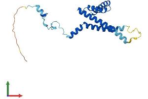 AlphaFold protein structure predicition of Mouse Recombinant Timm22 Protein, UniprotID Q9CQ85