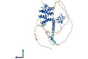AlphaFold protein structure predicition of Human Recombinant STAM2 Protein, UniprotID O75886