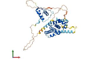 AlphaFold protein structure predicition of Mouse Recombinant Nr2e3 Protein, UniprotID Q9QXZ7