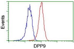 Flow cytometric Analysis of Jurkat cells, using anti-DPP9 antibody (ABIN2455322), (Red), compared to a nonspecific negative control antibody, (Blue).