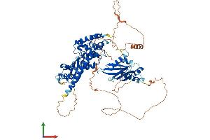 AlphaFold protein structure predicition of Human Recombinant STRBP Protein, UniprotID Q96SI9