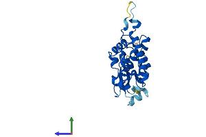AlphaFold protein structure predicition of Mouse Recombinant Clic5 Protein, UniprotID Q8BXK9