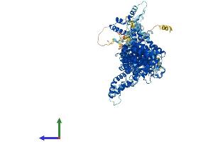 AlphaFold protein structure predicition of Human Recombinant CYFIP2 Protein, UniprotID Q96F07