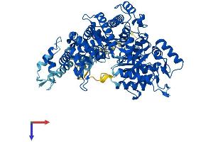 AlphaFold protein structure predicition of Human Recombinant RRM1 Protein, UniprotID P23921