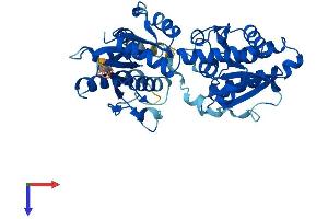 AlphaFold protein structure predicition of Human Recombinant ALG2 Protein, UniprotID Q9H553