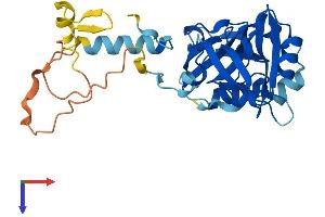 AlphaFold protein structure predicition of Mouse Recombinant Sdcbp2 Protein, UniprotID Q99JZ0