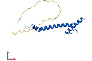 AlphaFold protein structure predicition of Human Recombinant NHLH2 Protein, UniprotID Q02577
