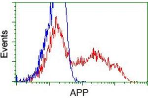Image no. 4 for anti-Amyloid beta (A4) Precursor Protein (APP) antibody (ABIN1496879) (APP anticorps)