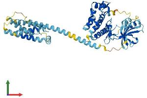 AlphaFold protein structure predicition of Human Recombinant MLKL Protein, UniprotID Q8NB16