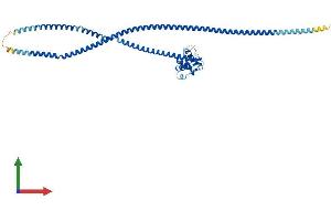 AlphaFold protein structure predicition of Mouse Recombinant Nuf2 Protein, UniprotID Q99P69