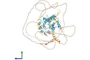 AlphaFold protein structure predicition of Human Recombinant ZNF711 Protein, UniprotID Q9Y462