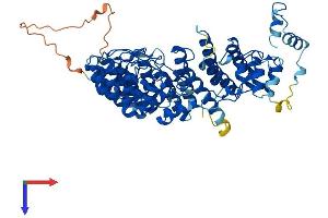 AlphaFold protein structure predicition of Mouse Recombinant Fem1aa Protein, UniprotID Q9Z2G1