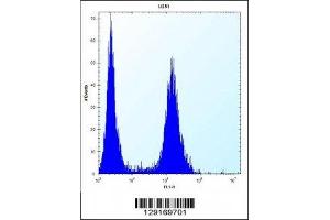 ID1 antibody flow cytometric analysis of U251 cells (right histogram) compared to a negative control (left histogram).