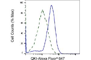 Validation of QKI knockdown using flow cytometry. (Recombinant QKI anticorps)