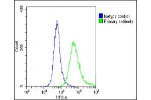 Overlay histogram showing U-87 MG cells stained with (ABIN6242848 and ABIN6578683)(green line).