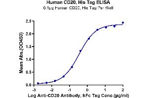 Immobilized Human CD20, His Tag at 1 μg/mL (100 μL/well) on the plate.