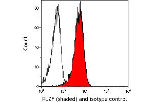 anti-Zinc Finger and BTB Domain Containing 16 (ZBTB16) (AA 6-126) antibody