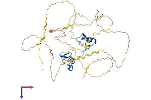 AlphaFold protein structure predicition of Mouse Recombinant Gata3 Protein, UniprotID P23772