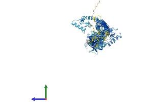 AlphaFold protein structure predicition of Mouse Recombinant Actn1 Protein, UniprotID Q7TPR4
