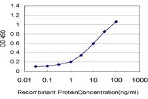 anti-Protocadherin 11 Y-Linked (PCDH11Y) (AA 57-165) antibody