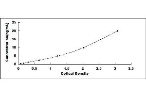 Typical standard curve (p300 Kit ELISA)