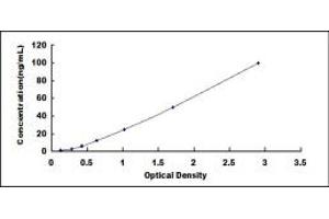 Typical standard curve (PEPCK Kit ELISA)