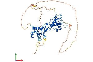 AlphaFold protein structure predicition of Mouse Recombinant Rffl Protein, UniprotID Q6ZQM0