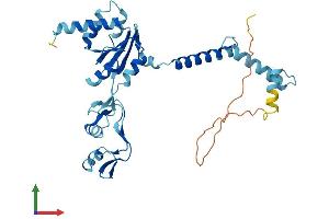 AlphaFold protein structure predicition of Human Recombinant RPLP0 Protein, UniprotID P05388