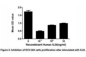 IL24 (interleukin 24) is a cytokine that belongs to IL10 family.