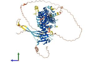 AlphaFold protein structure predicition of Mouse Recombinant Rgl1 Protein, UniprotID Q60695